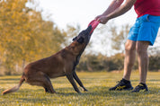 Frisbee